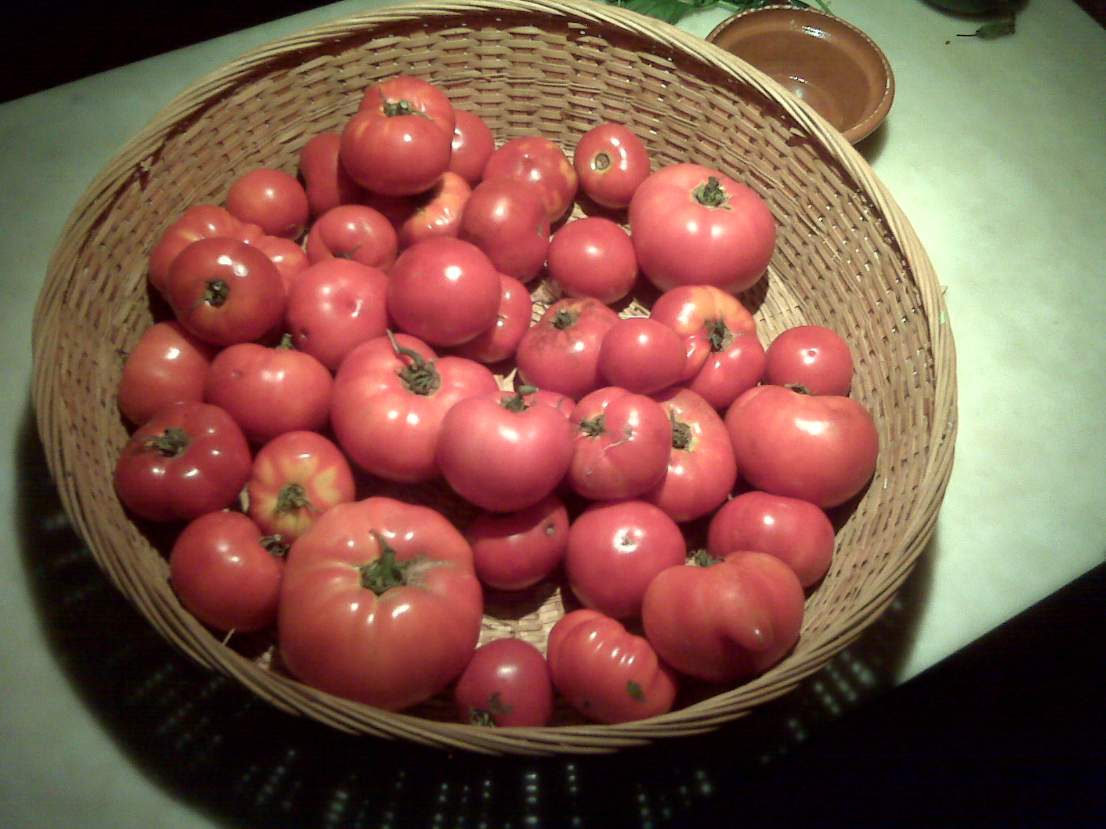 gdf tomatoes